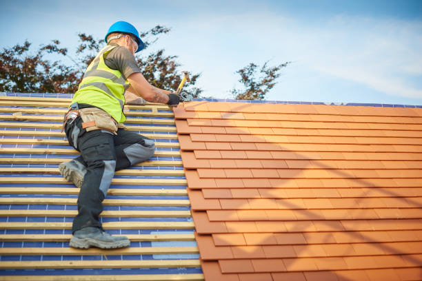 Best Steel Roofing  in Rangely, CO
